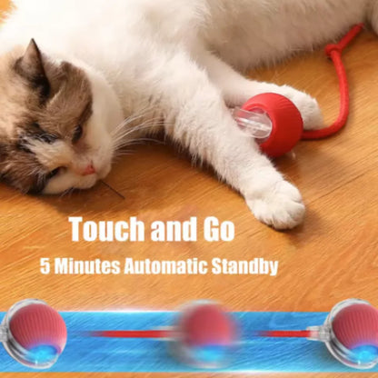 Rechargeable Interactive Cat Ball Toy With Faux Tail
