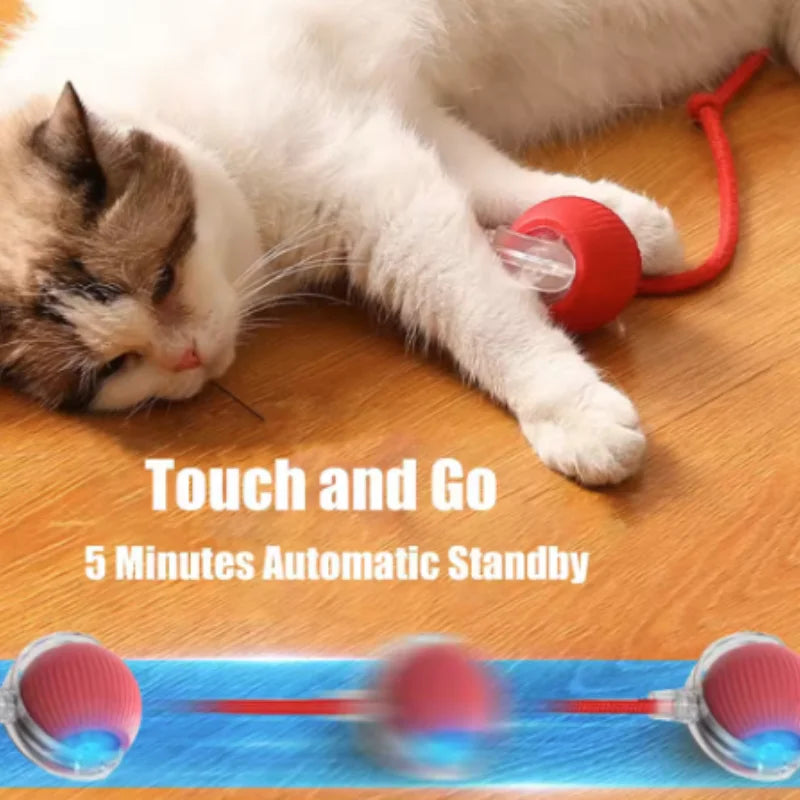 Rechargeable Interactive Cat Ball Toy With Faux Tail
