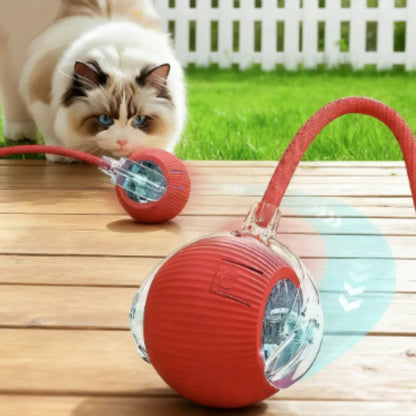 Rechargeable Interactive Cat Ball Toy With Faux Tail