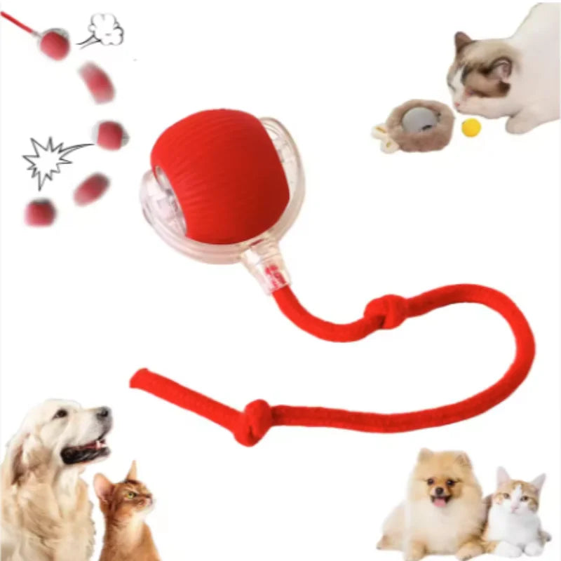 Rechargeable Interactive Cat Ball Toy With Faux Tail