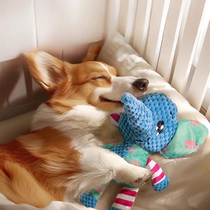 Plush Squeaky Dog Chew Toy – Bite Resistant & Interactive